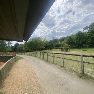 Guanaco enclosure 090525