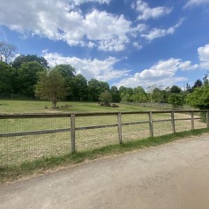 Guanaco enclosure 090525