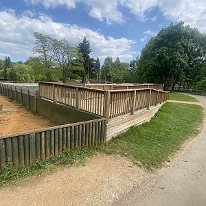 Walkway next to Arctic fox enclosure 090525