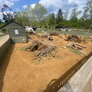 Porcupine enclosure from walkway 090525