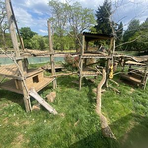 Arctic fox enclosure 090525