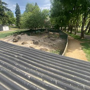 Prairie dog enclosure from walkway 090525