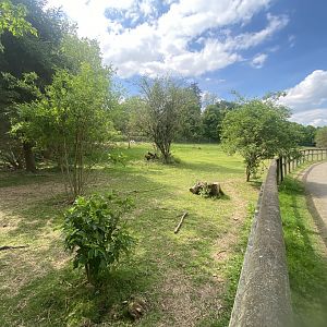 Guanaco enclosure 090525