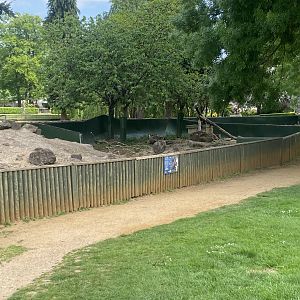 Black-tailed prairie dog enclosure 090525