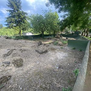 Black-tailed prairie dog enclosure 090525