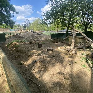 Black-tailed prairie dog enclosure 090525