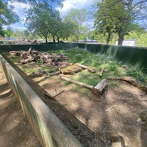 Brazilian guineapig enclosure 090525