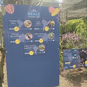 Aviary 1 signage 090525