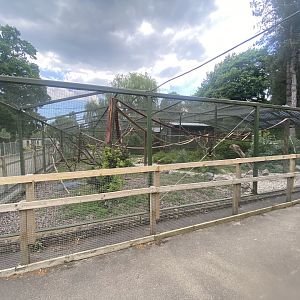Ring-tailed lemur enclosure 090525