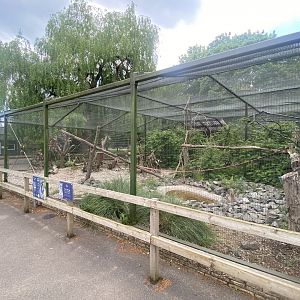 Ring-tailed lemur enclosure 090525