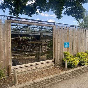 Tayra enclosure no.1 090525