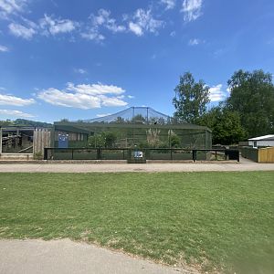 View towards Turkey vulture aviary 090525