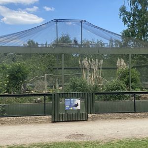 Turkey vulture aviary 090525
