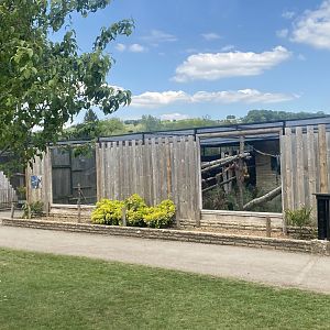 Tayra enclosure no.2 090525