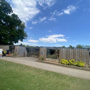View towards Tayra enclosures 090525