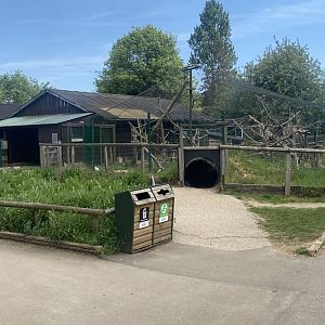 Black and white ruffed lemur enclosure 090525