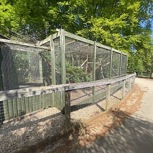 Common genet enclosure 090525