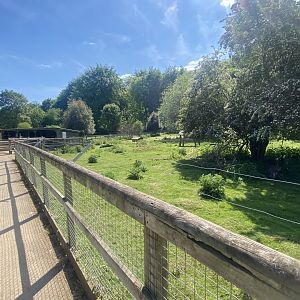Red-necked wallaby enclosure 090525