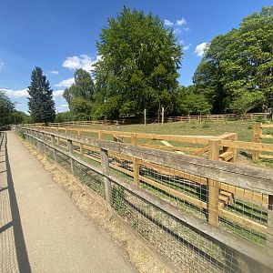 Domestic reindeer enclosure 090525