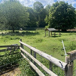 Red-necked wallaby enclosure 090525