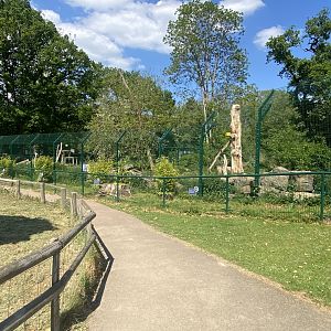 Carpathian lynx enclosure 090525