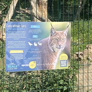 Carpathian lynx signage 090525