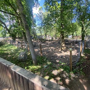 Central European wild boar enclosure 090525