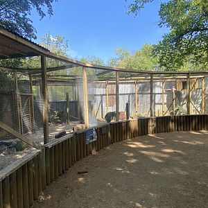 Snowy owl aviary 090525