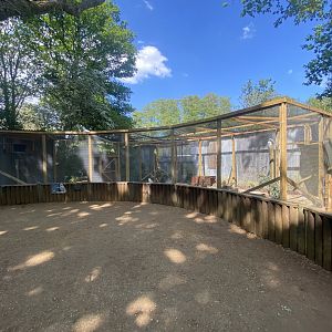 Snowy owl aviary 090525