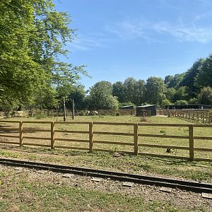 Domestic reindeer enclosure 090525