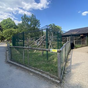 Black and white ruffed lemur enclosure 090525