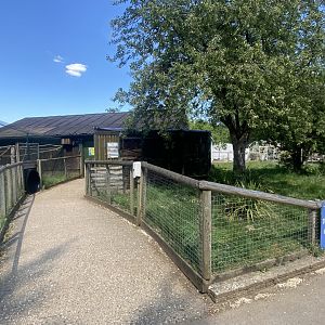 Area occupied by Red-footed tortoises 090525