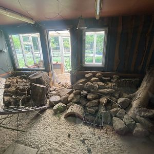 Dwarf mongoose enclosure 090525