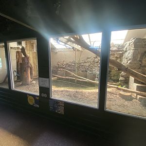 Burmese python exhibit 090525