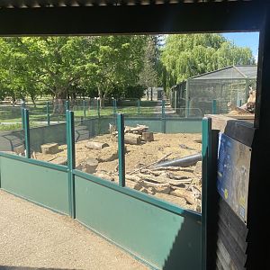 Meerkat enclosure 090525