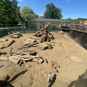 Meerkat enclosure 090525