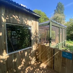 Common marmoset enclosure 090525