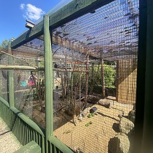Common marmoset enclosure 090525