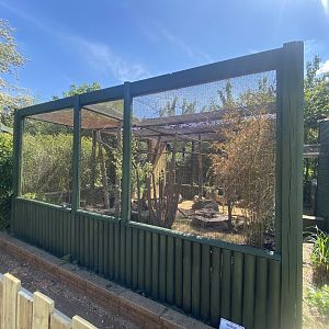 Common marmoset enclosure 090525