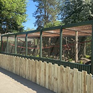 Common squirrel monkey enclosure 090525