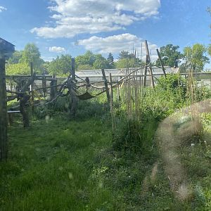 Binturong enclosure 090525