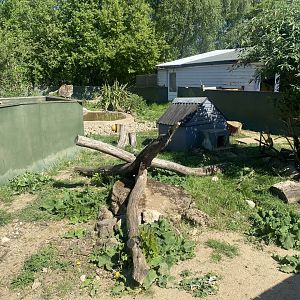 Asian small-clawed otter enclosure 090525