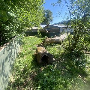Asian small-clawed otter enclosure 090525