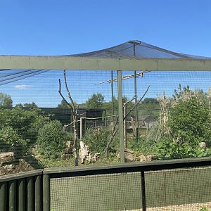 Turkey vulture aviary 090525
