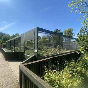 Turkey vulture aviary 090525