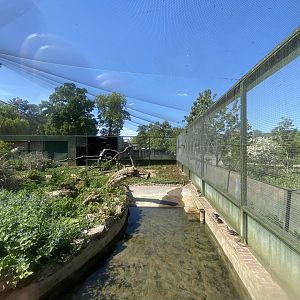 Turkey vulture aviary 090525