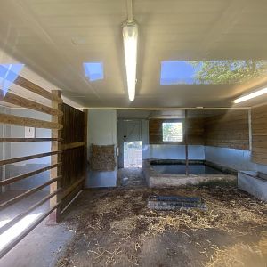 South American tapir enclosure 090525