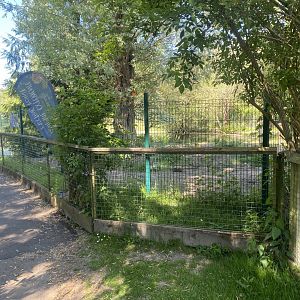 South American tapir enclosure 090525