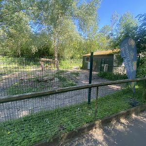 South American tapir enclosure 090525