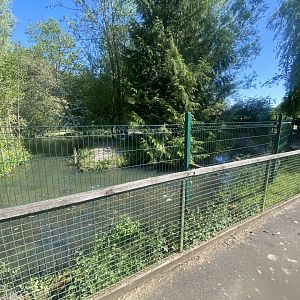 South American tapir enclosure 090525